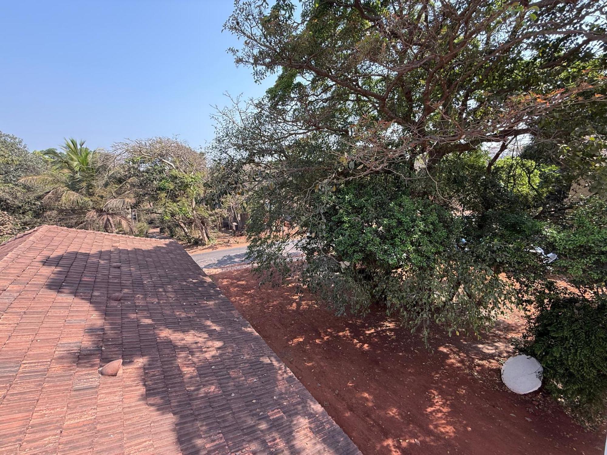 Lar Amorosa Boutique Hotel - Goa Calangute Eksteriør billede